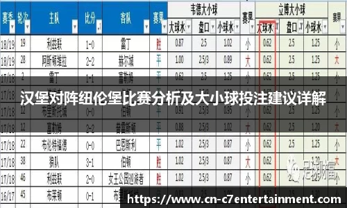 汉堡对阵纽伦堡比赛分析及大小球投注建议详解
