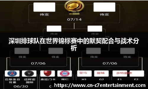 深圳排球队在世界锦标赛中的默契配合与战术分析